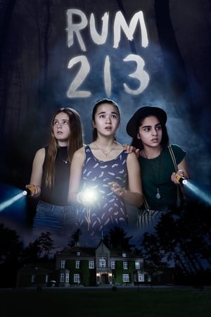 Rum 213 2017 Hindi Dual Audio 720p BluRay [800MB] - Movierulz