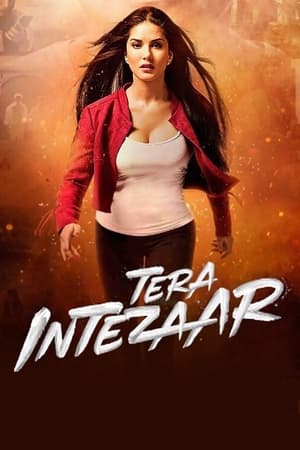 Tera Intezaar 2017 Movie 480p HDRip - [300MB] - Movierulz